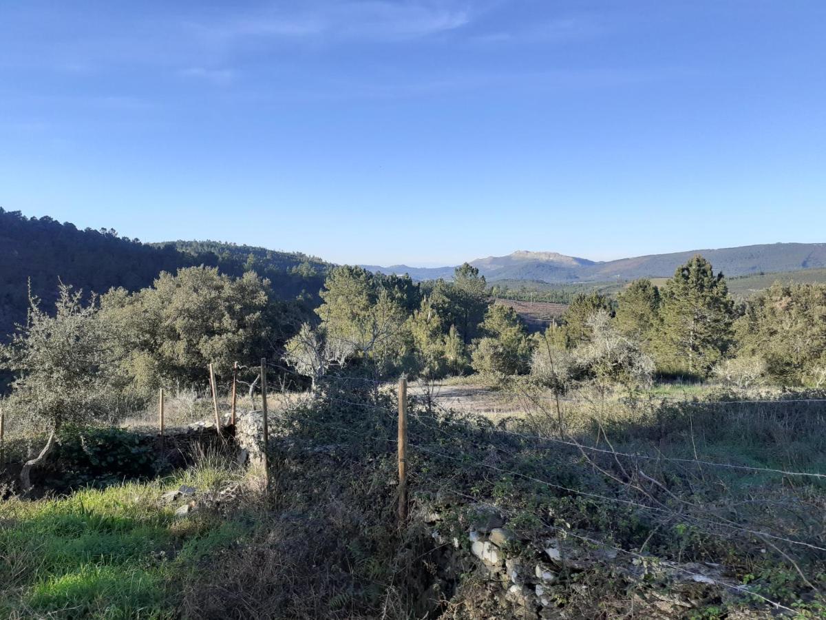 Quinta Das Lameirinhas Marvão Exteriör bild