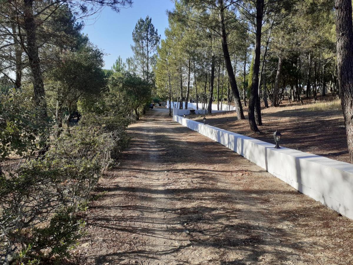 Quinta Das Lameirinhas Marvão Exteriör bild