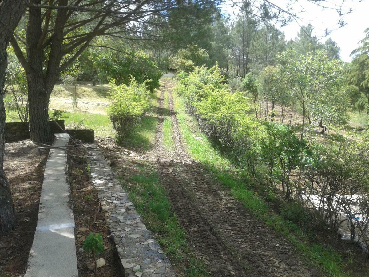 Quinta Das Lameirinhas Marvão Exteriör bild